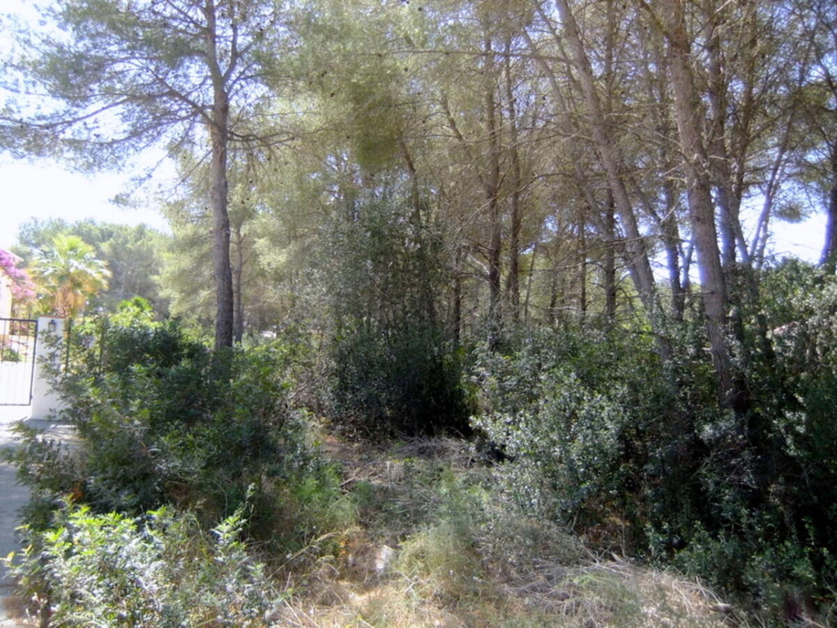 Parcela en venta en Javea