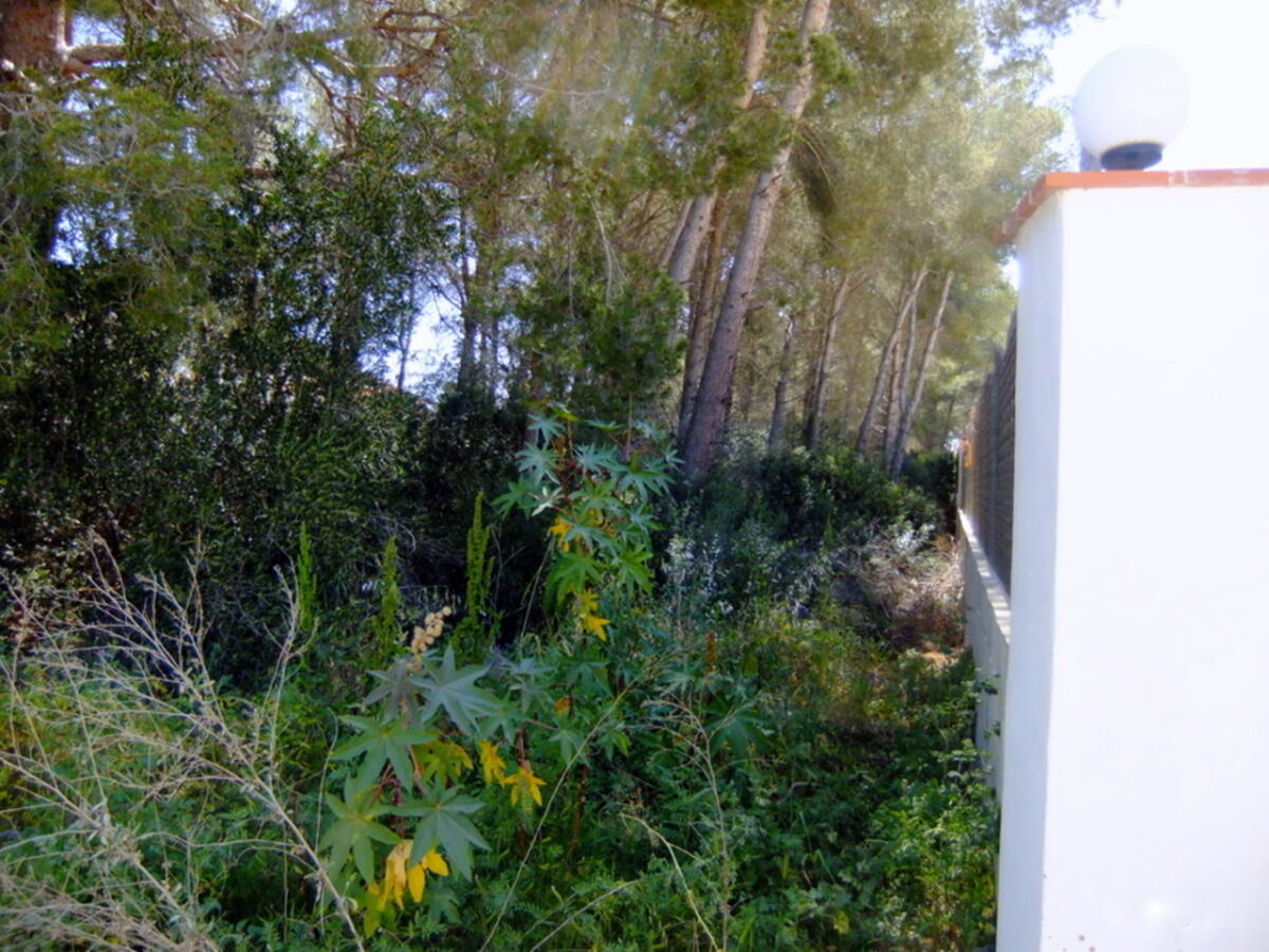 Parcela en venta en Javea