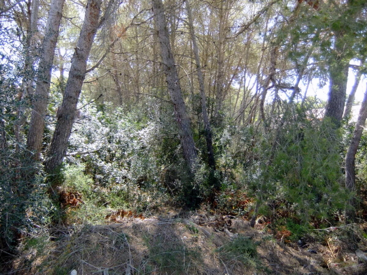 Parcela en venta en Javea