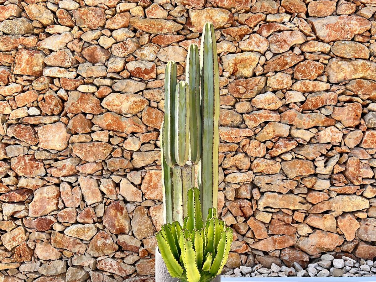 Villa 3 Dormitorios en venta en Javea Ambolo