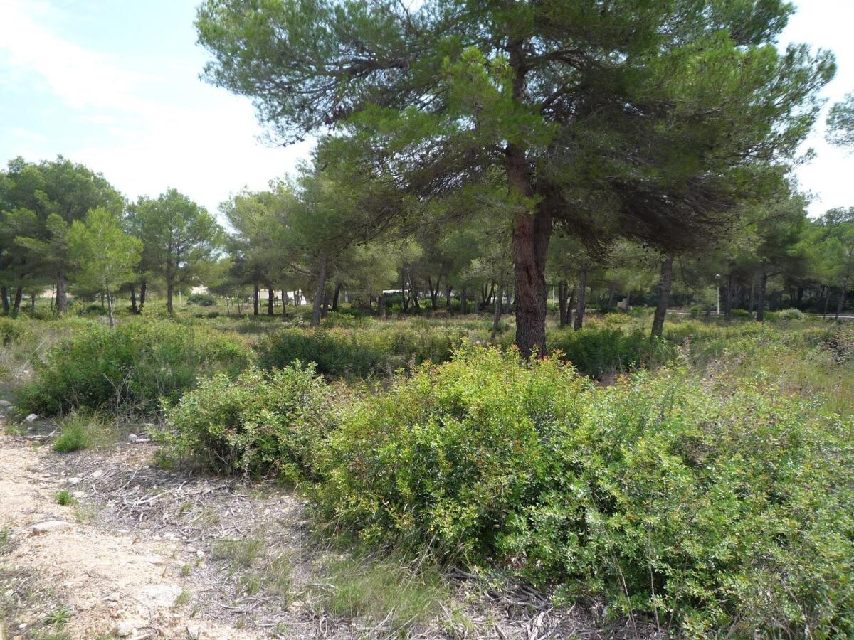 Parcela en venta en Javea La Cala
