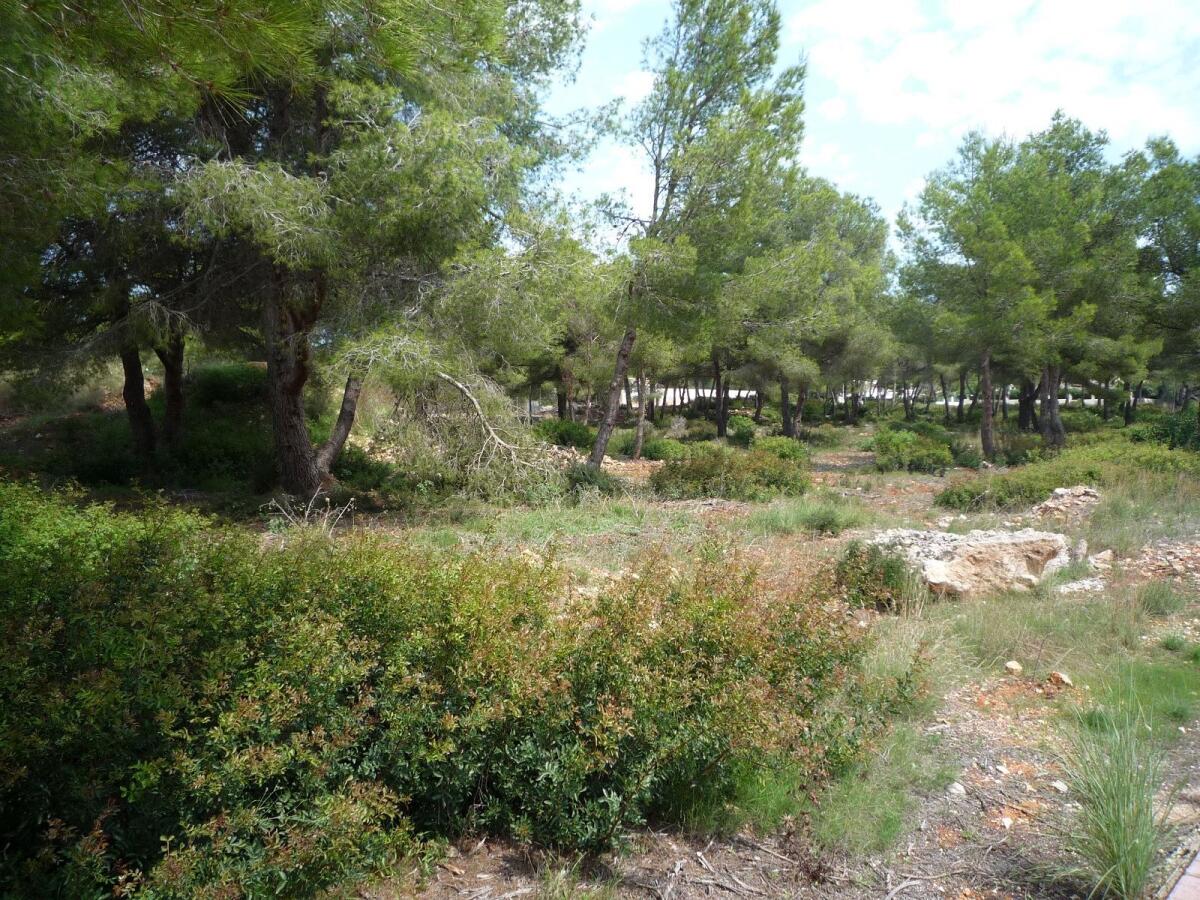 Parcela en venta en Javea La Cala