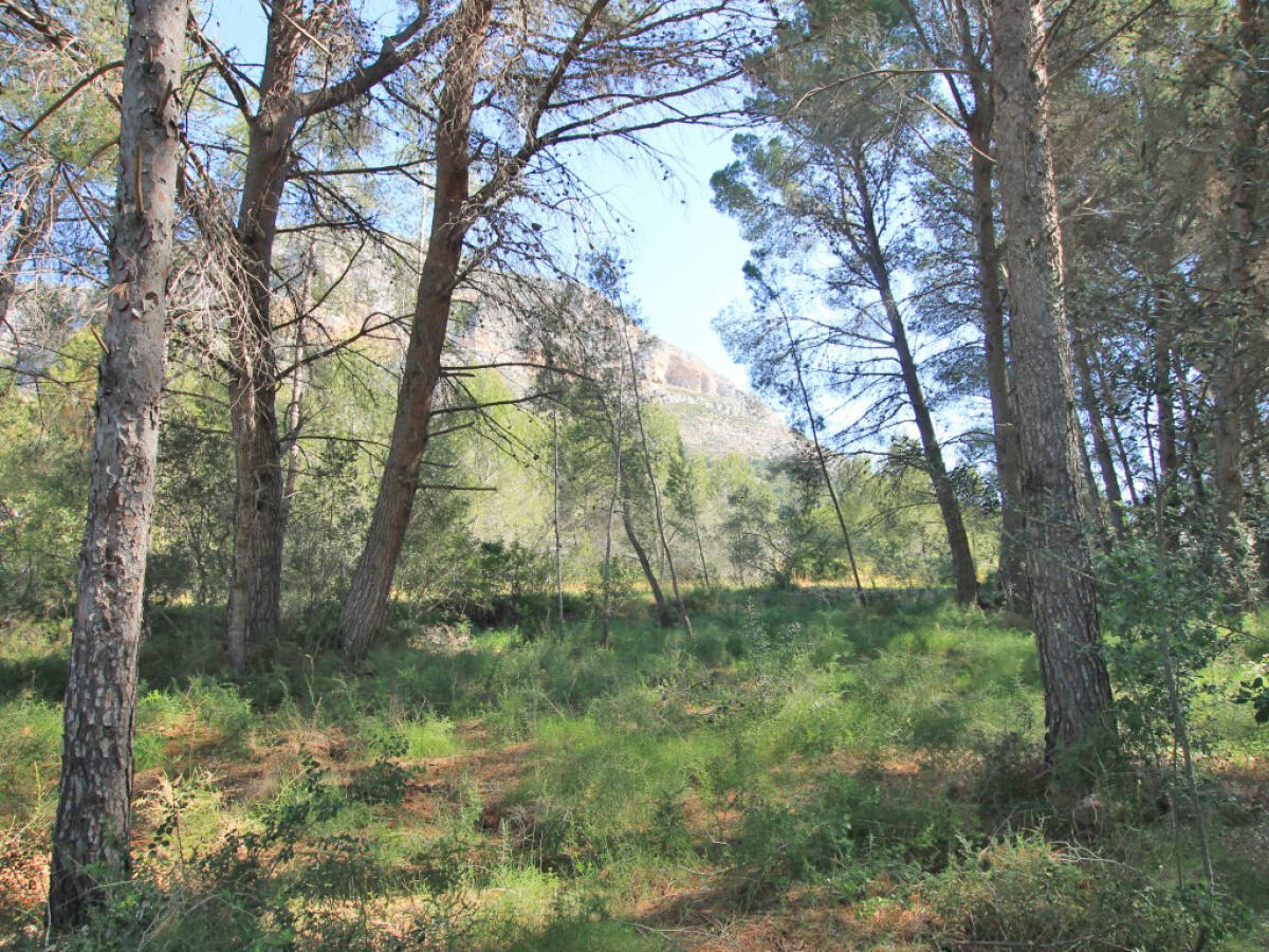 Parcela en venta en Javea
