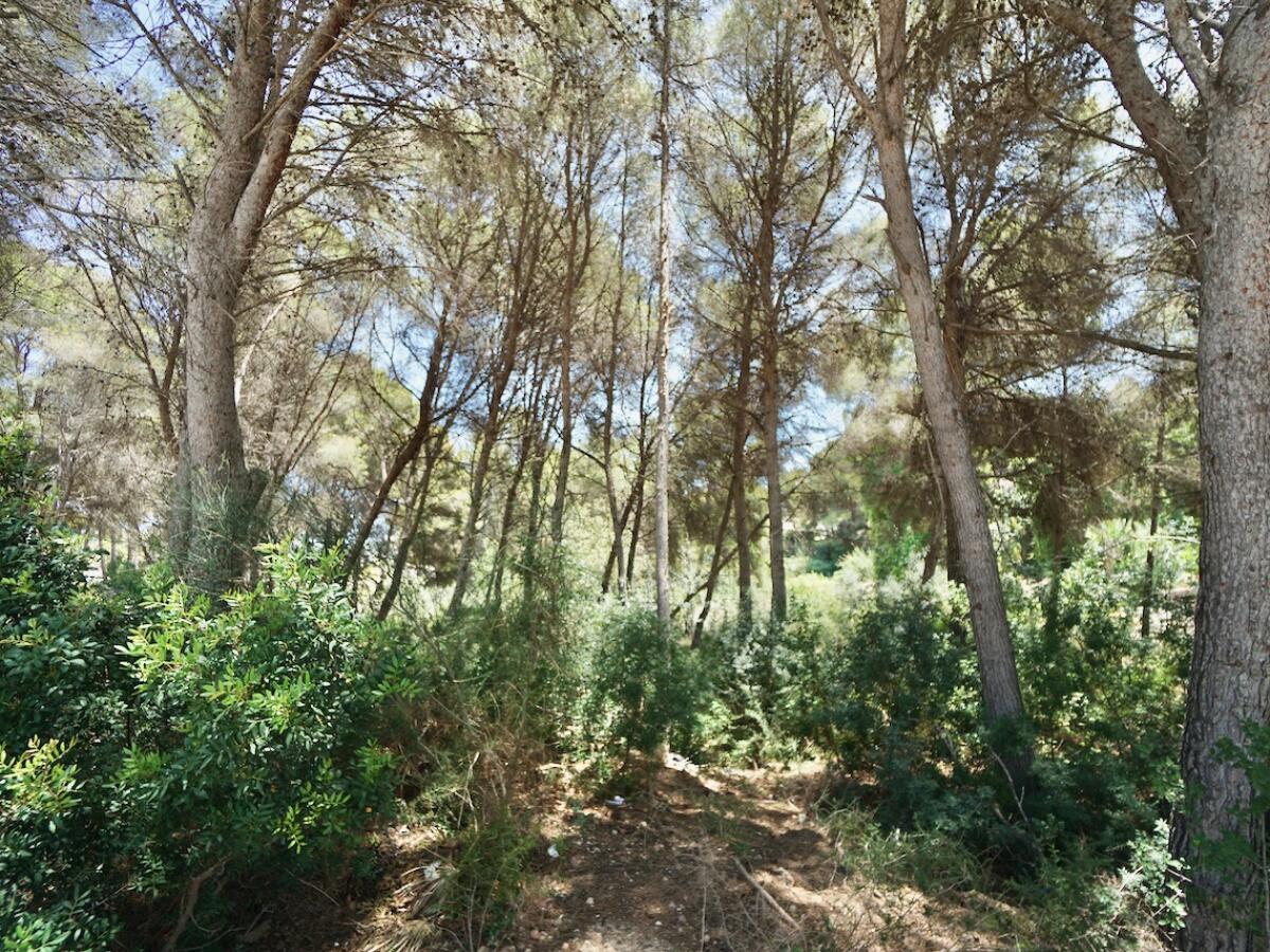 Parcela en venta en Moraira La Cometa