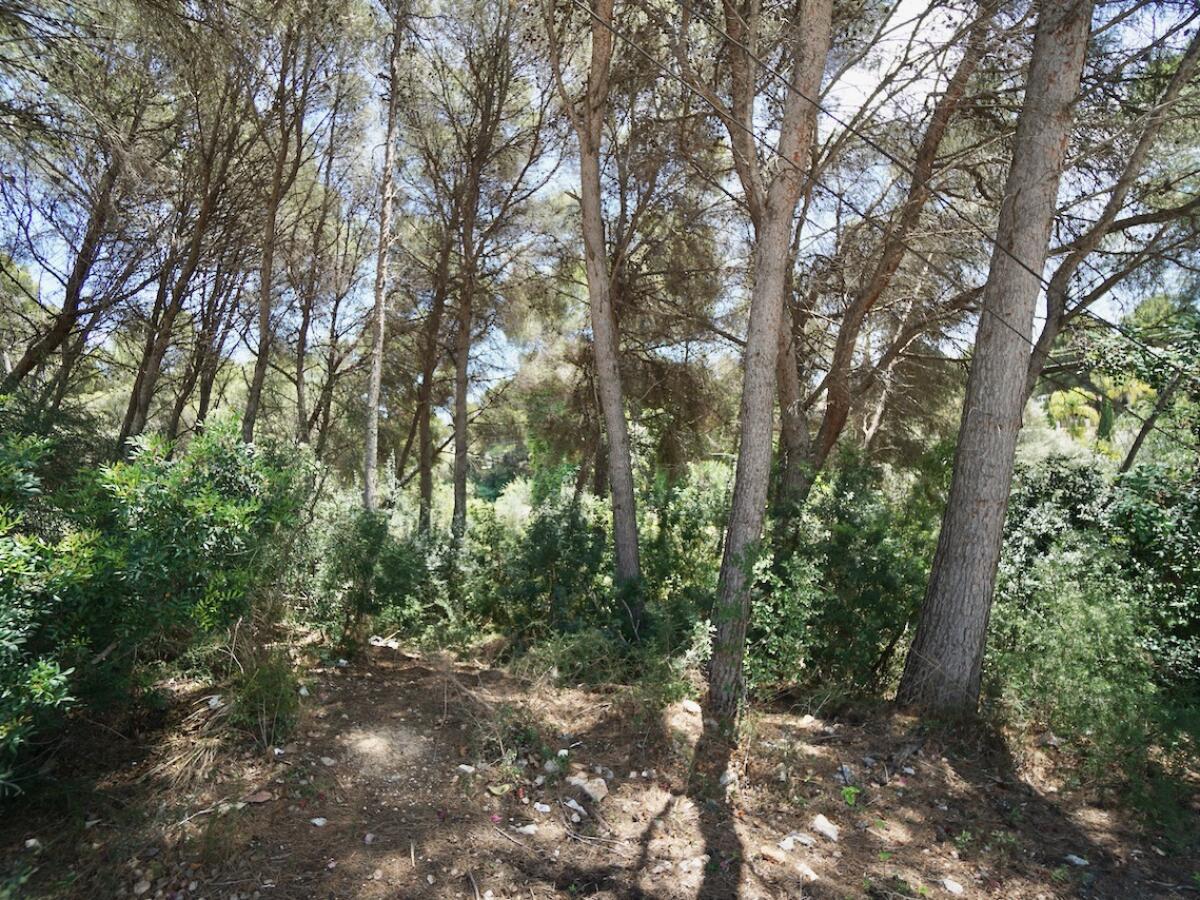 Parcela en venta en Moraira La Cometa