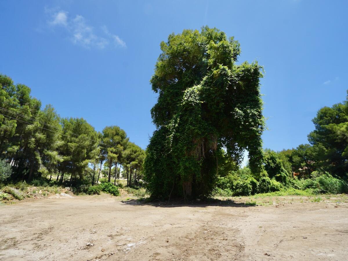 Parcela en venta en Moraira La Cometa