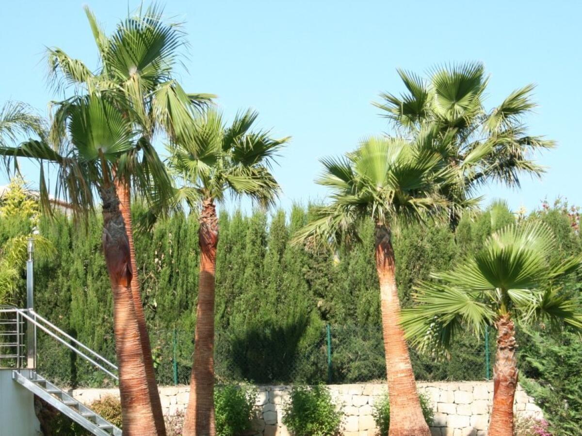 Villa 5 Dormitorios en venta en Javea