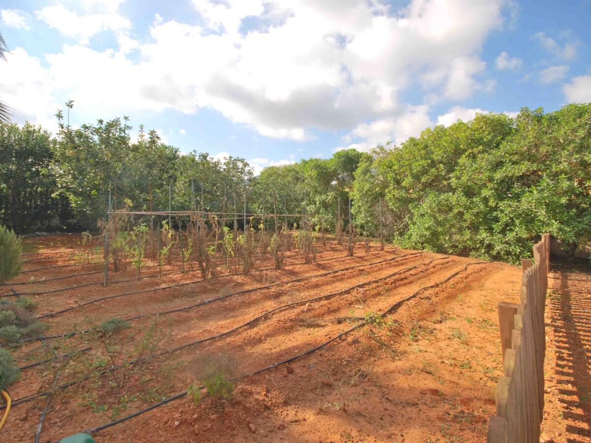 Villa 5 Dormitorios en venta en Javea