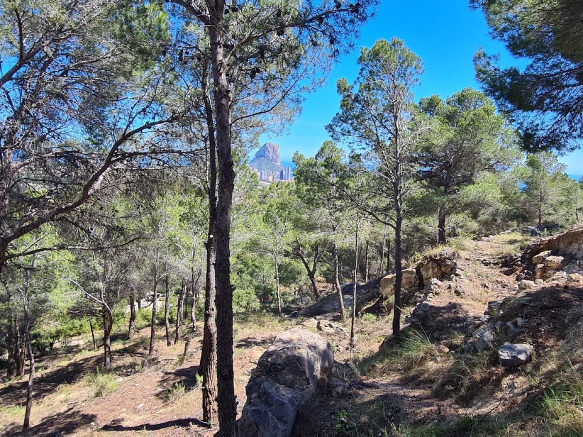 Parcela en venta en Calpe Oltamar