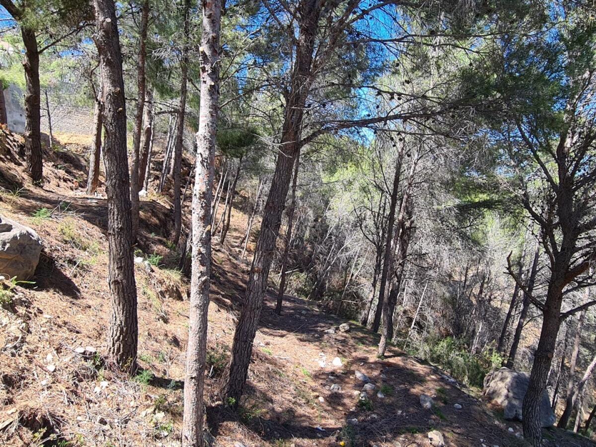 Parcela en venta en Calpe Oltamar