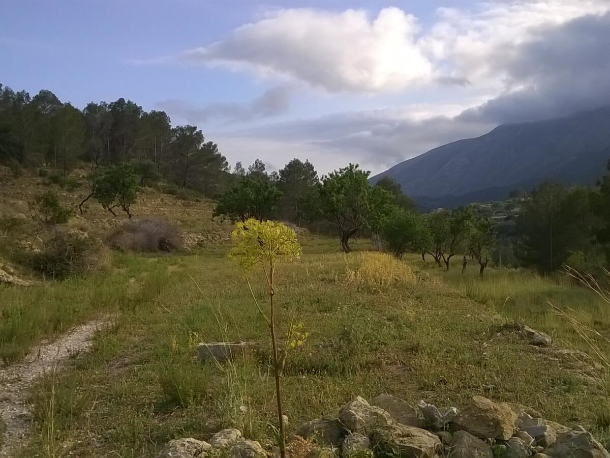 Parcela en venta en Benissa