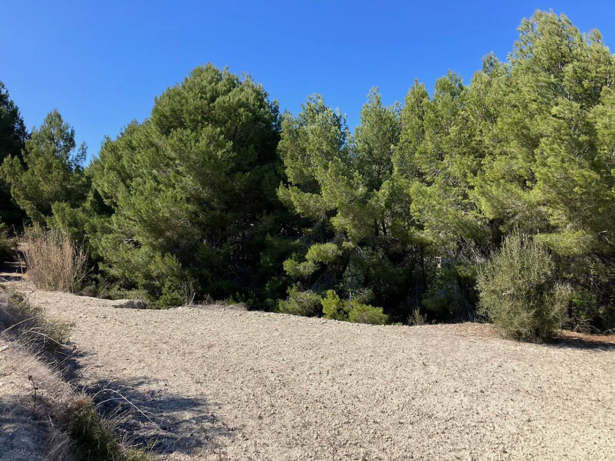 Parcela en venta en Benissa