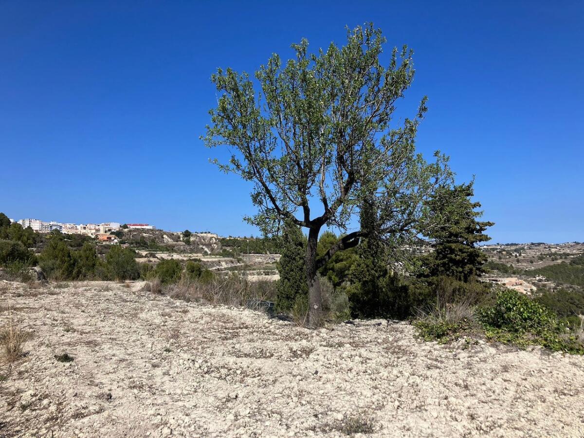 Parcela en venta en Benissa