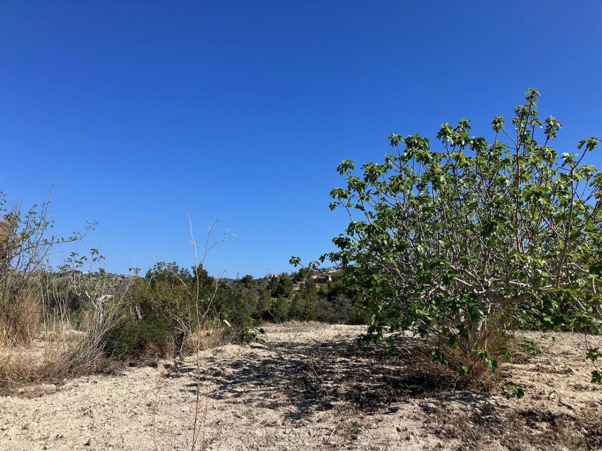 Parcela en venta en Benissa